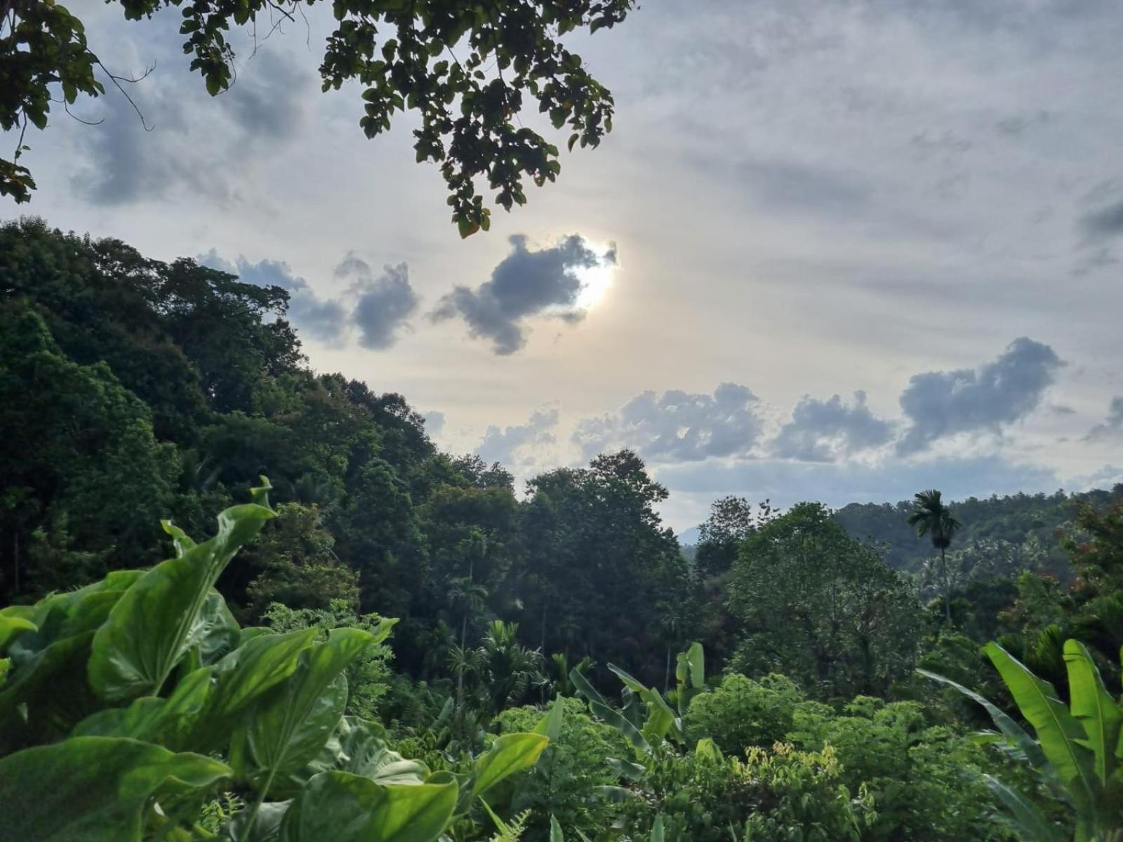 Silver Hill Ecovillage Kurunegala Extérieur photo