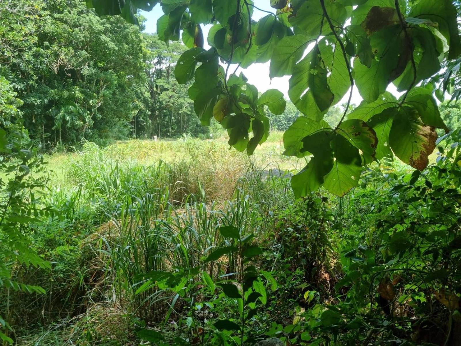 Silver Hill Ecovillage Kurunegala Extérieur photo
