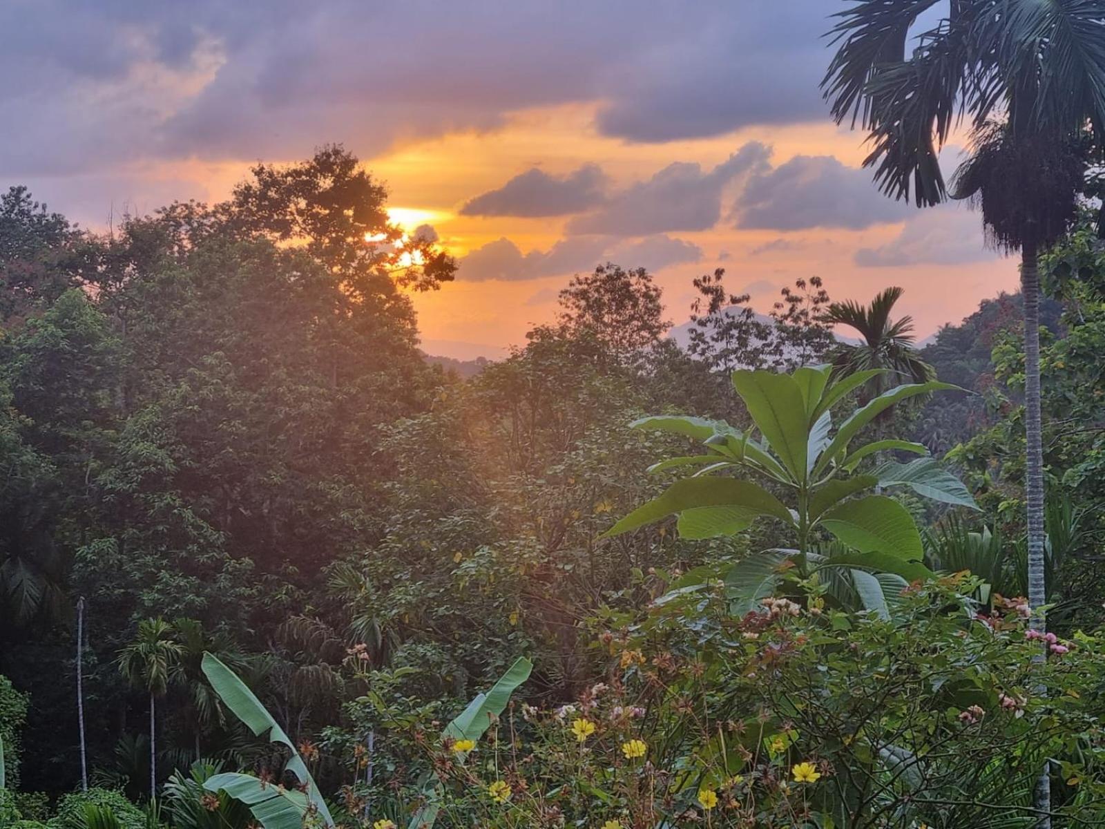 Silver Hill Ecovillage Kurunegala Extérieur photo