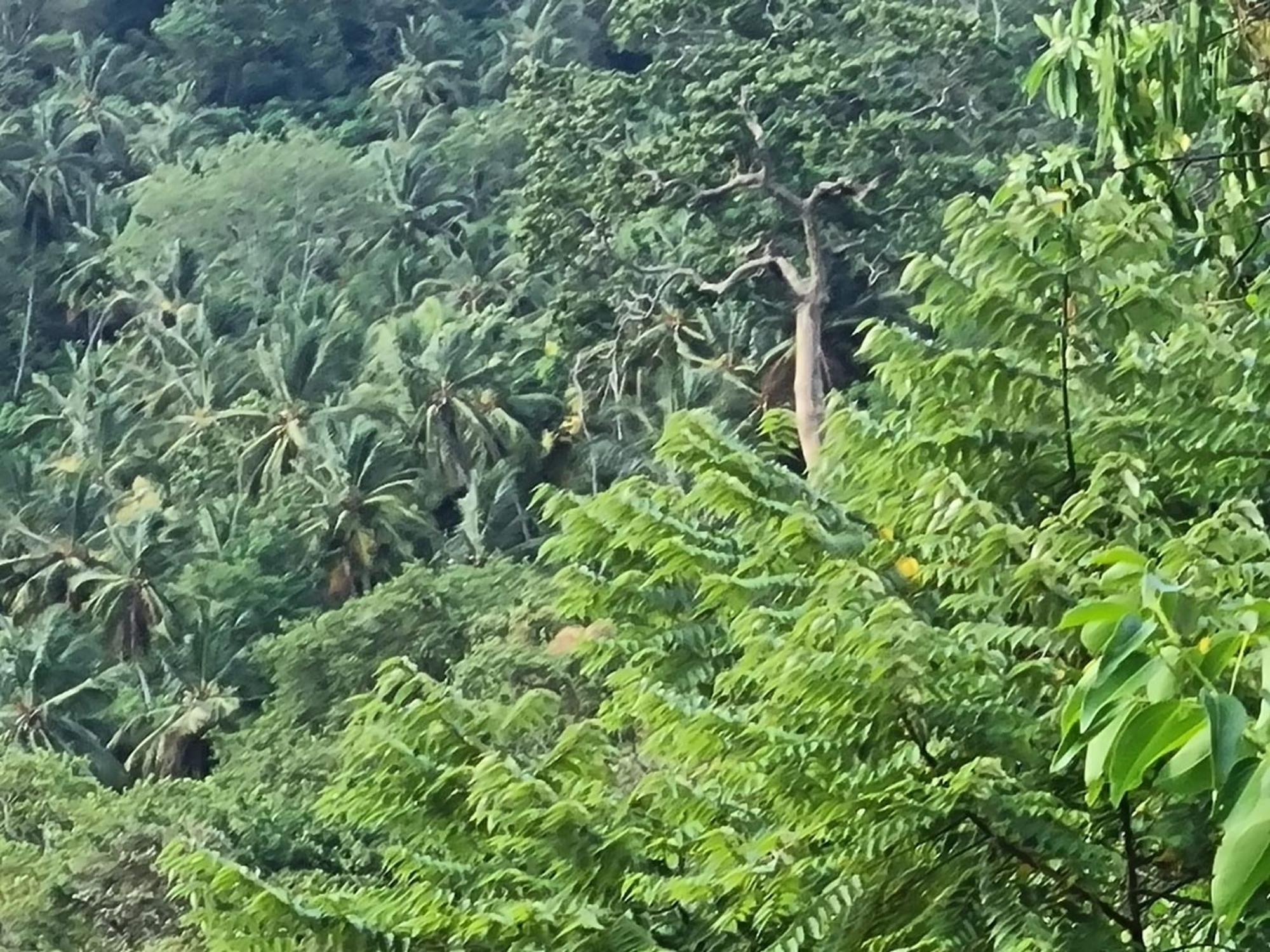 Silver Hill Ecovillage Kurunegala Extérieur photo