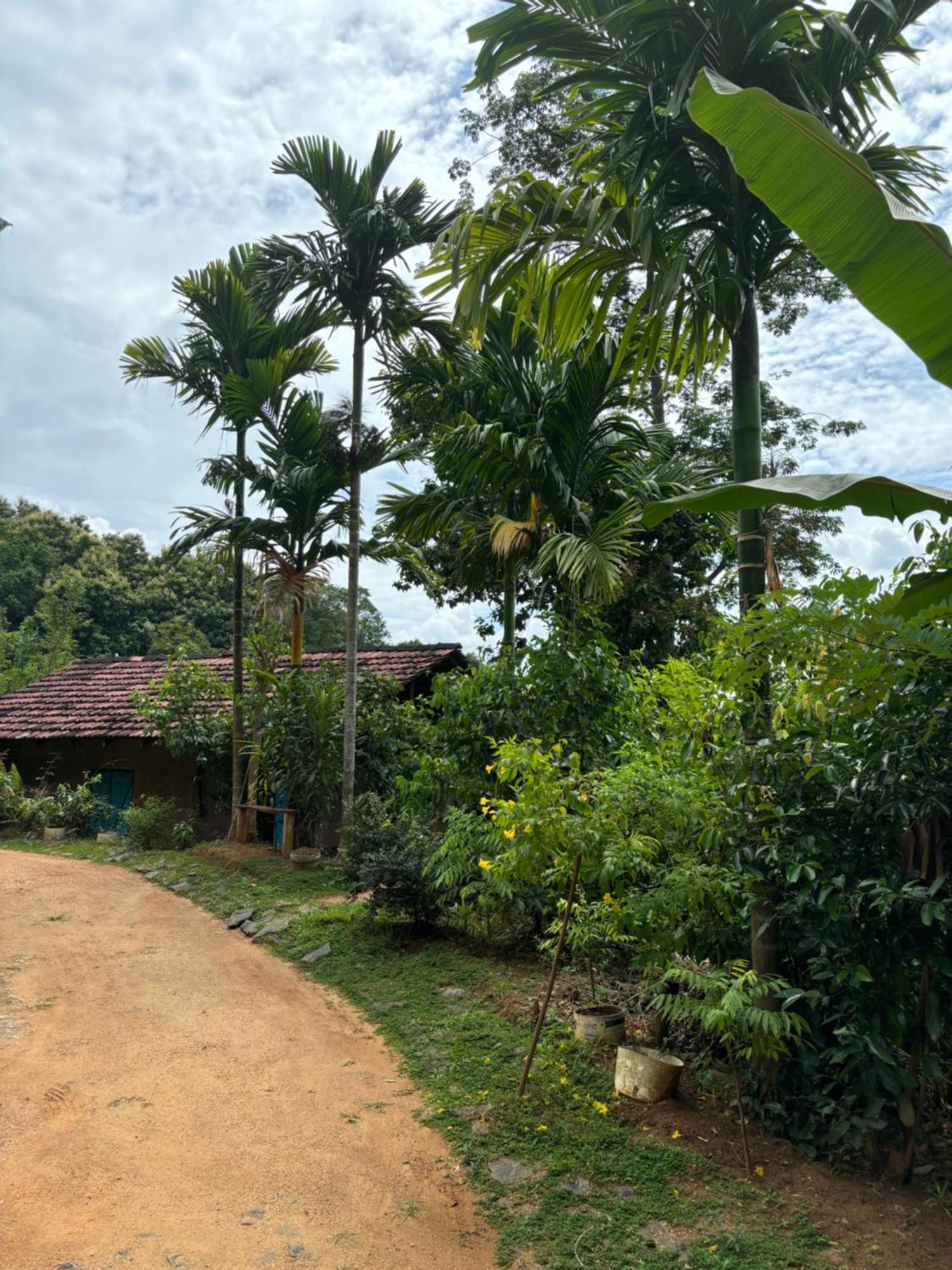 Silver Hill Ecovillage Kurunegala Extérieur photo